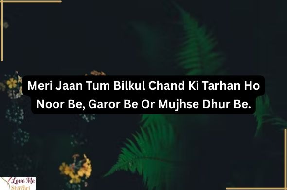 Heart-Touching-Shayari-on-Life-English