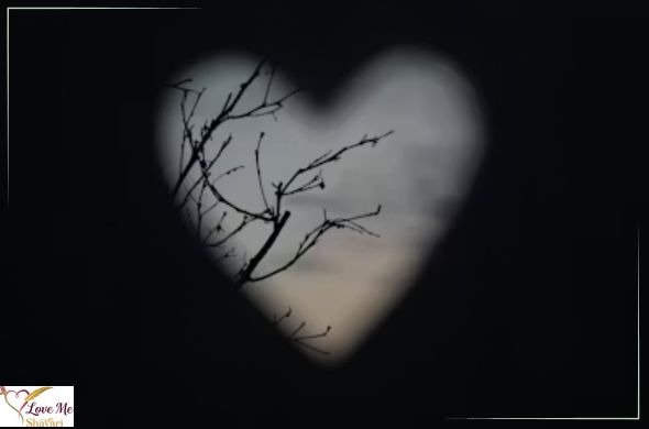 Heart-Touching-Love-Shayari-in-Hindi