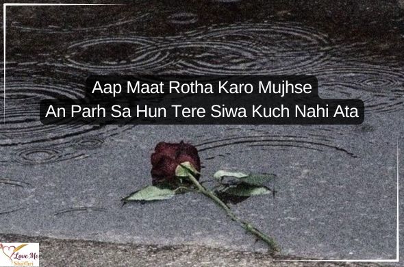 Sad-Shayari-in-Hindi-2-Line-Love