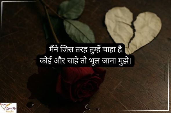 Sad-Love-Shayari-in-Hindi