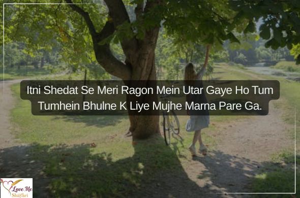 Heart-Touching-Emotional-Shayari-in-Hindi