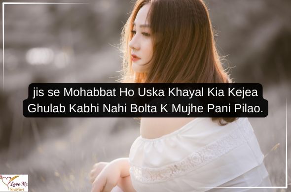 Top 50+ Mohabbat Shayari in Hindi 2026 | Love Lines 41 Mohabbat-Shayari-in-Hindi-Text
