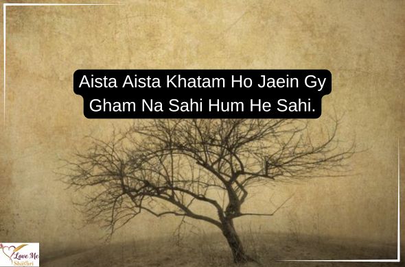 Sad-Shayari-in-Urdu-2-Lines