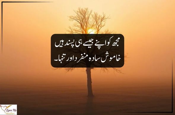 Sad-Quotes-Urdu-English