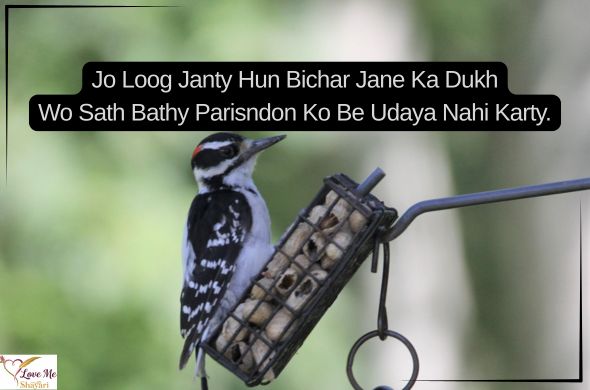 Tum rootho to duniya khamosh si ho jaati hai Tum muskura do to zindagi aasan si ho jaati hai. 99