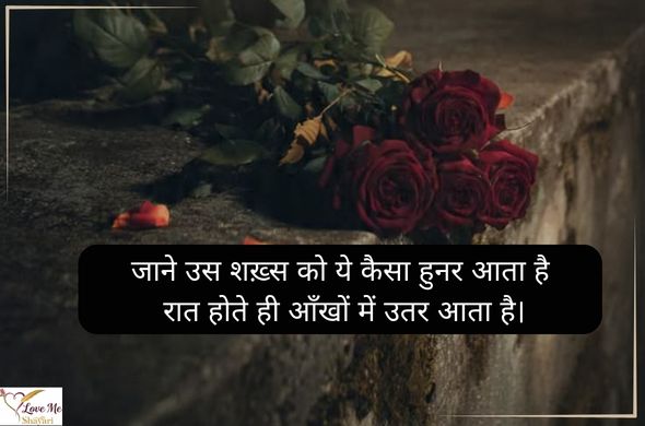 Love-Shayari-Hindi