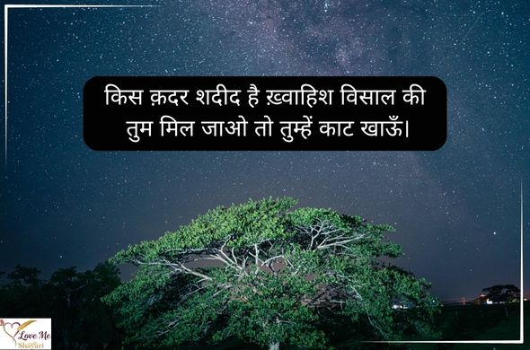 Love-Shayari-Quotes-in-Hindi-2-Lines